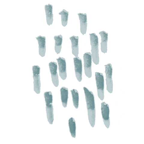 Watercolor Sticker