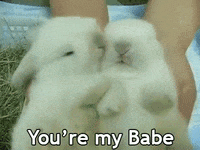 My Babes Gifs Get The Best Gif On Giphy