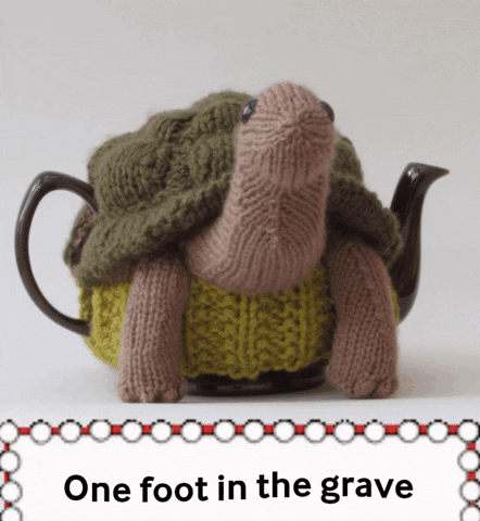 One Foot In The Grave Reptile GIF by TeaCosyFolk