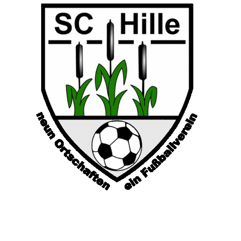Matchday Hille Sticker by fotografierbar