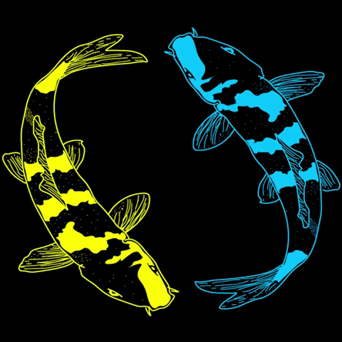 Fish GIF