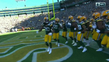 Packers GIF