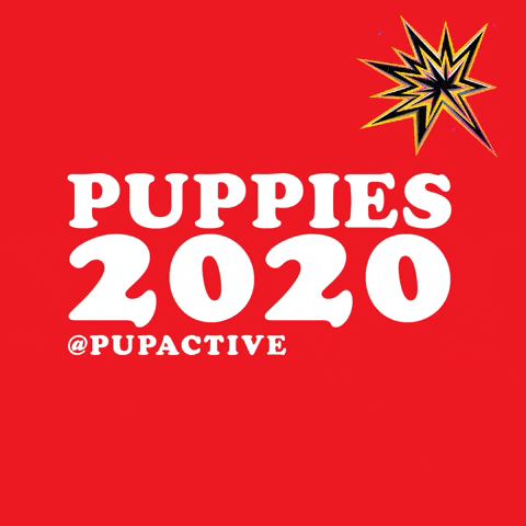 pupactive GIF