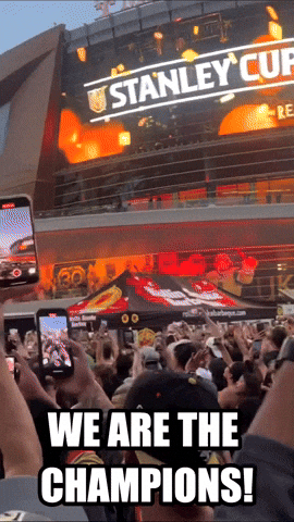 Celebrate Stanley Cup GIF by Storyful
