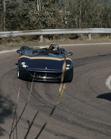 Nico Rosberg GIF