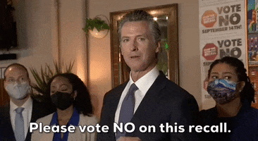 Vote No GIF by GIPHY News