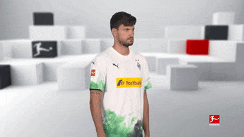 Posing Line Up GIF by Bundesliga