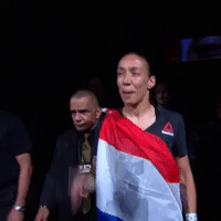 Walk Out De Randamie GIF by UFC