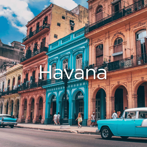 habana meaning, definitions, synonyms