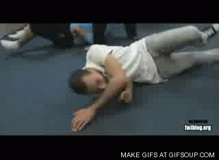 Image result for ROFL gifs