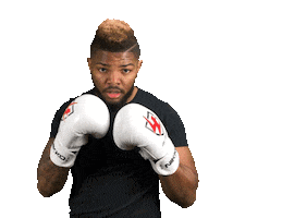 Fight Mma Sticker by Luis Tavares