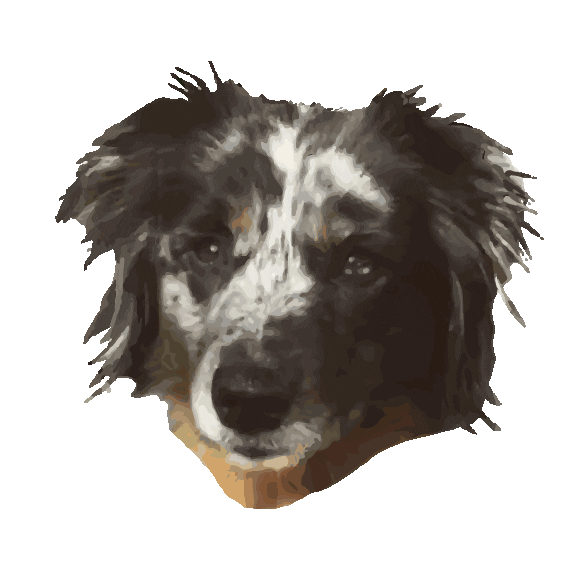 Dog Aussie Sticker by Coss