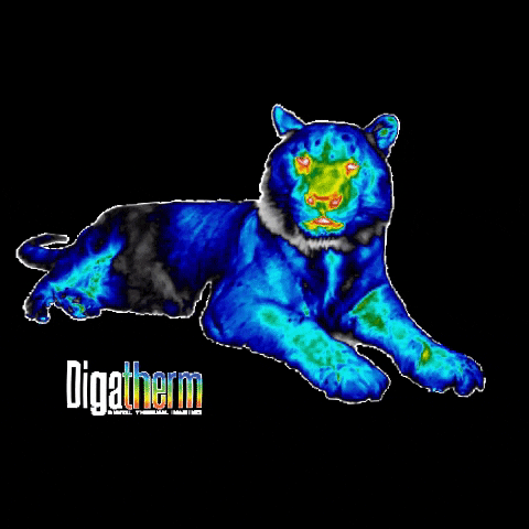 Digatherm GIF