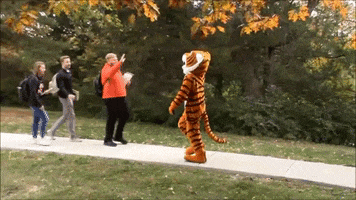 Doane University GIF