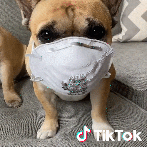 Dog Love GIF door TikTok Italia