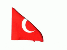 egemenbagis GIF