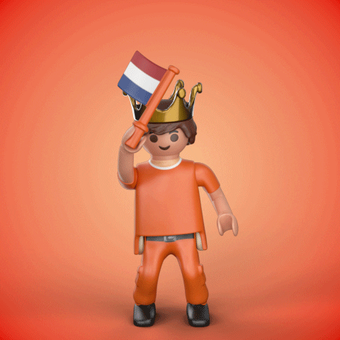 Celebrate Willem Alexander GIF by PLAYMOBIL