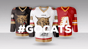 Aberdeen Lynx Ice Hockey GIF