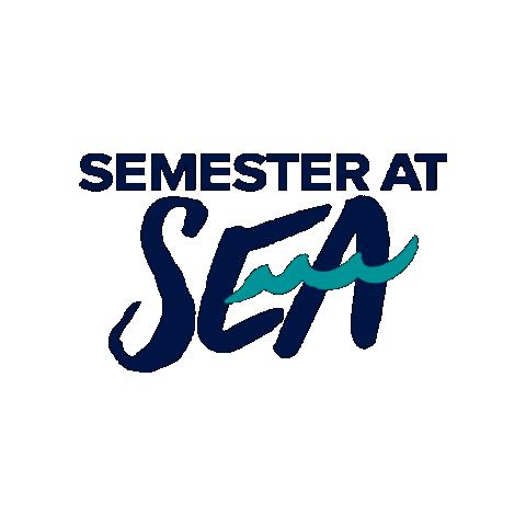 semesteratseavoyages Sticker