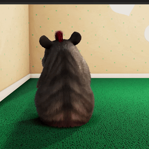 Hamster GIF