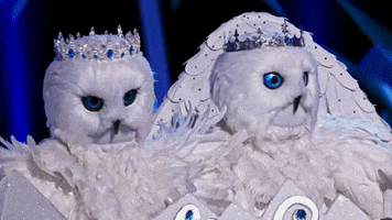 Snow Owls GIF by The Masked Singer