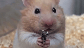 Hamster Mouse GIF