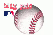Mlb Fan GIF