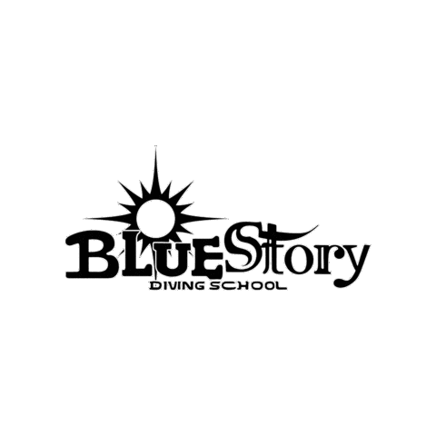 Bluestory Sticker by SNSI Japan