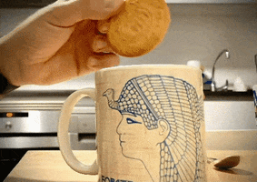 Biscuit Untar GIF by Oriental Dance on line