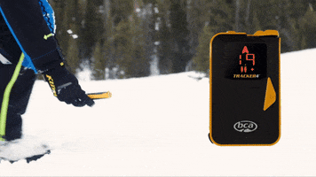 Backcountry Access GIF