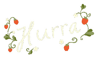 Norway Bursdag Sticker