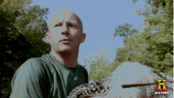 dance history GIF by Swamp People
