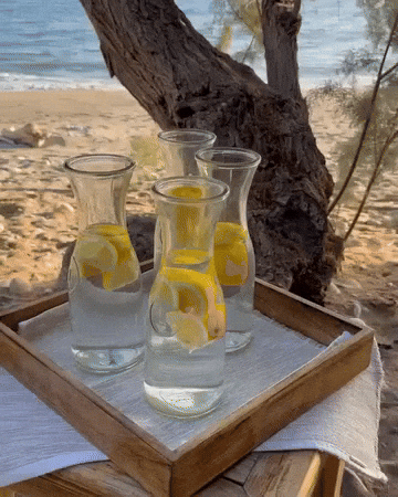 GIF by Beach House Arvi