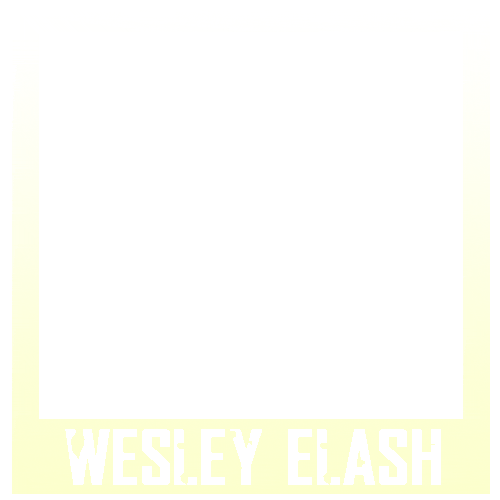 Wesley Elash Sticker