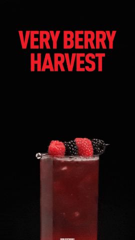 Summer Refreshing GIF by American Harvest Vodka
