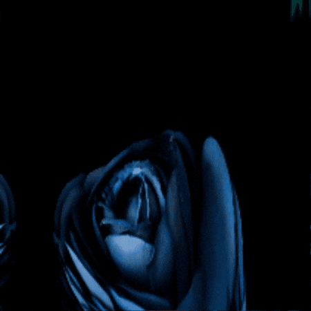 Russian GIF by TeaCosyFolk