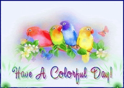 good morning GIF