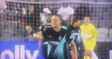Gotham Fc GIF