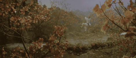 The Shaolin Temple GIF