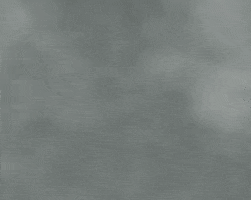 GIF by St. Vincent