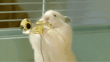 Video gif. Hamsters in a cage playing tiny instruments including a harmonica, trumpet, and clarinet.