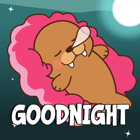 Sleepy Night Night GIF by FROSTYS