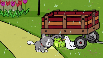 Cat GIF