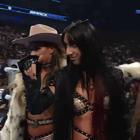 Go Away Wwe GIF