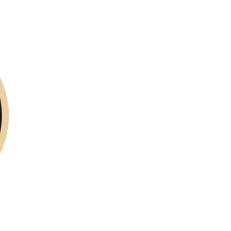 G999 Blockchain Sticker