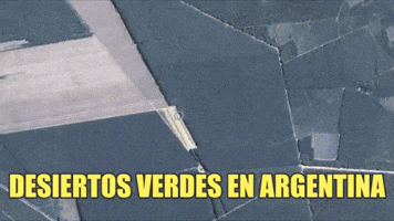 lizgv  GIF