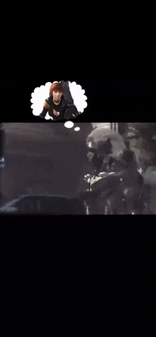Dead Or Alive Doa GIF