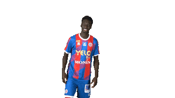 Football Chateauroux Sticker by La Berrichonne de Châteauroux