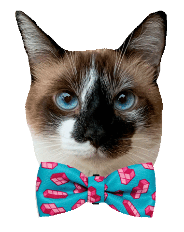 Romeu, Malelo & Dalila Sticker