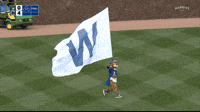 Cubs Lose GIF - Cubs Lose Flag - Discover & Share GIFs